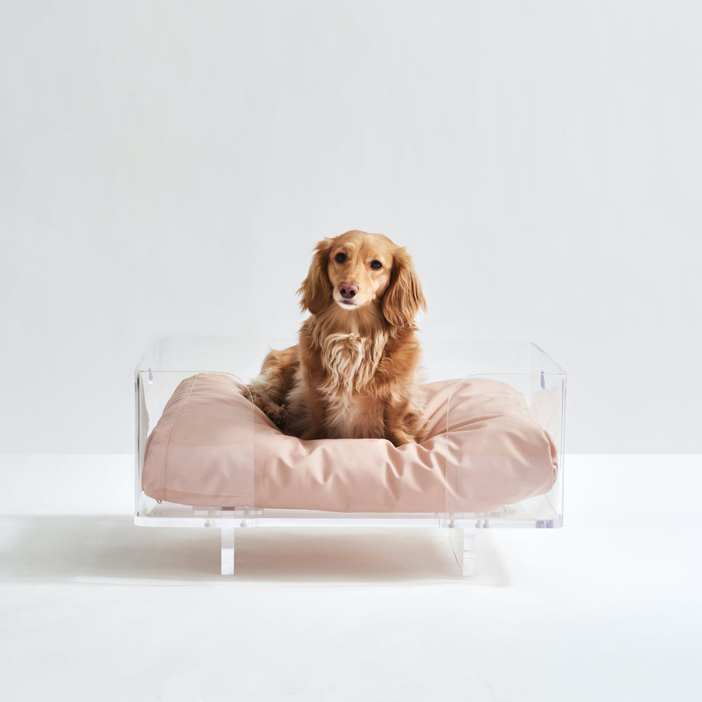 Crystal Clear Pet Bed Set