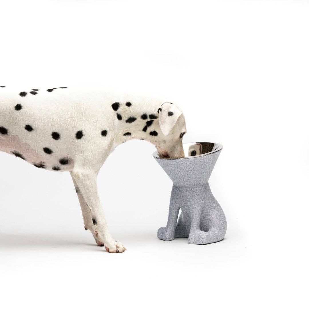 Puppy Gallery - ELIZABETH - The Queen of Dog Bowl