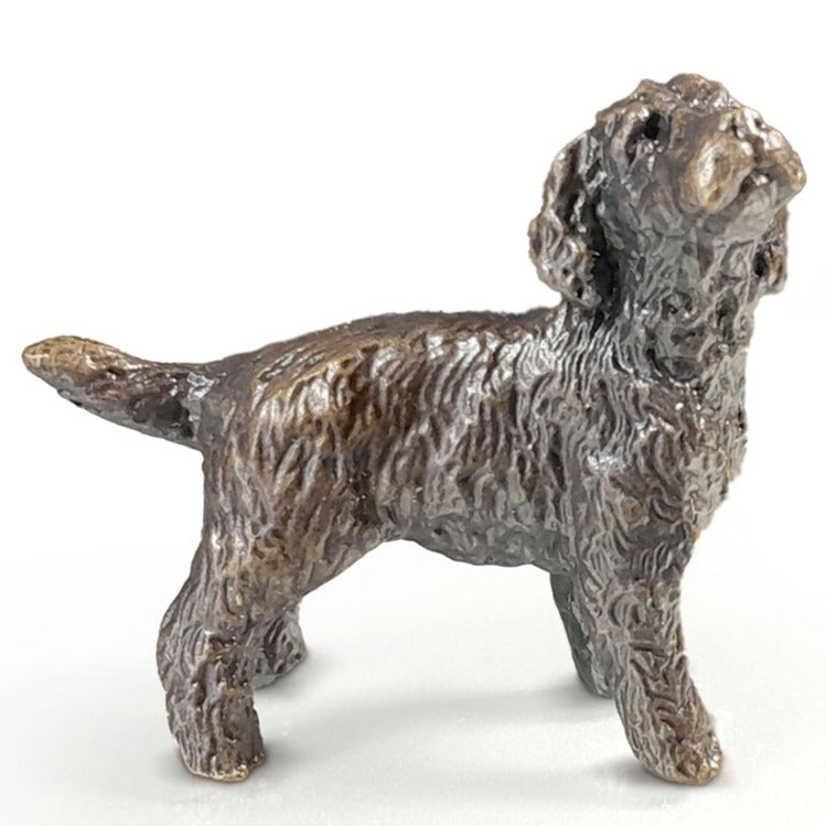 Butler & Peach Cockapoo