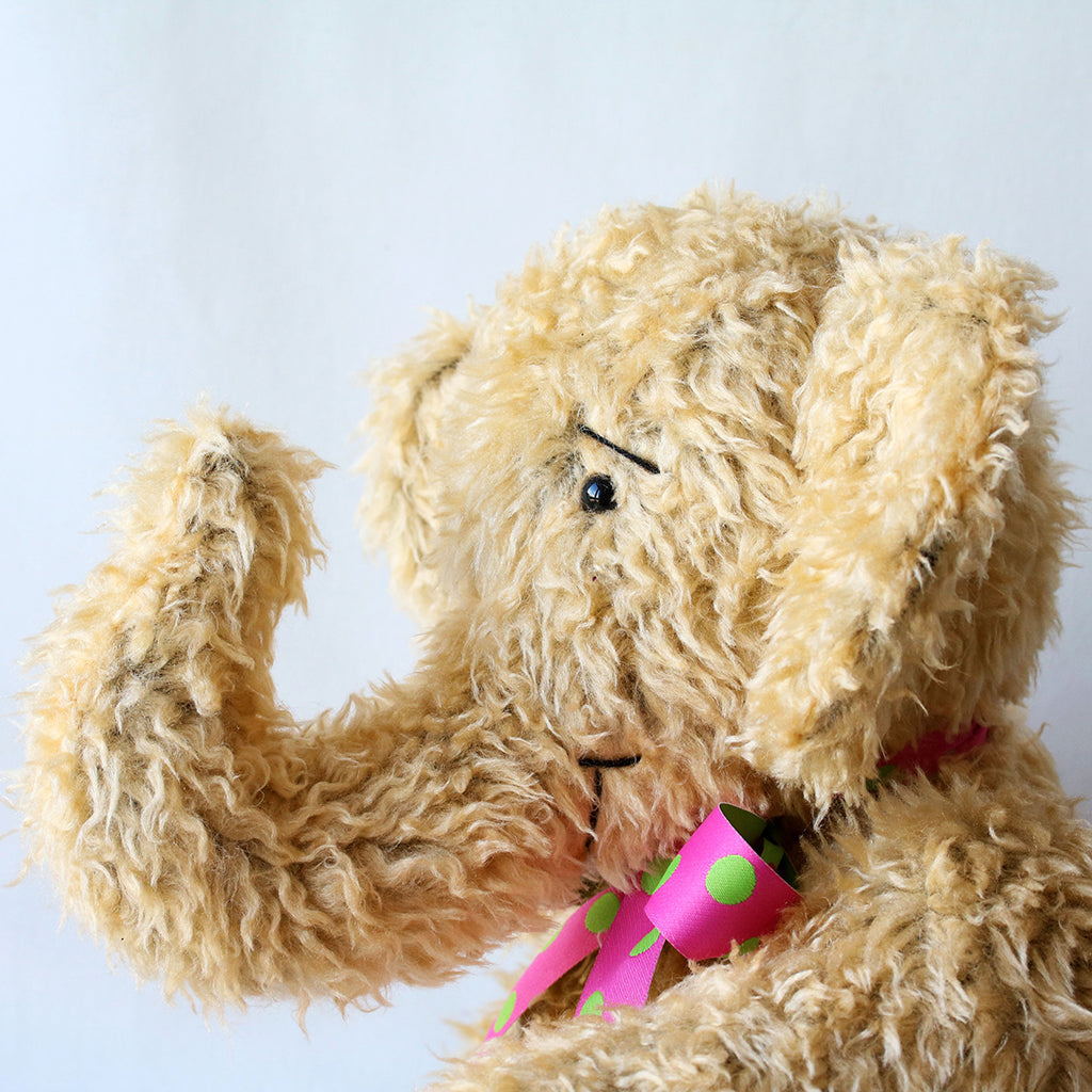 Canterbury Bears Barbar, elephant