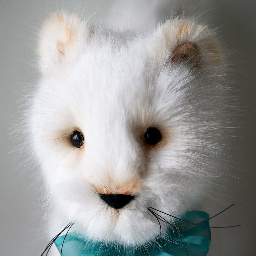 Canterbury Bears Mr Pringle Cat