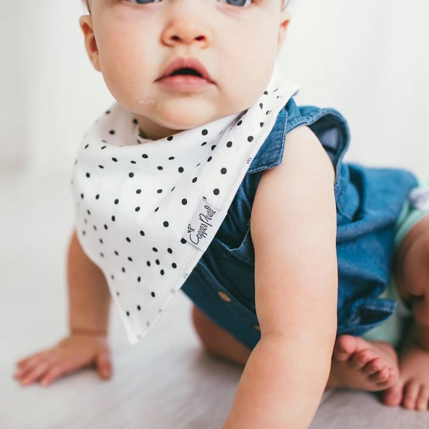 Willow Baby Bandana Bibs