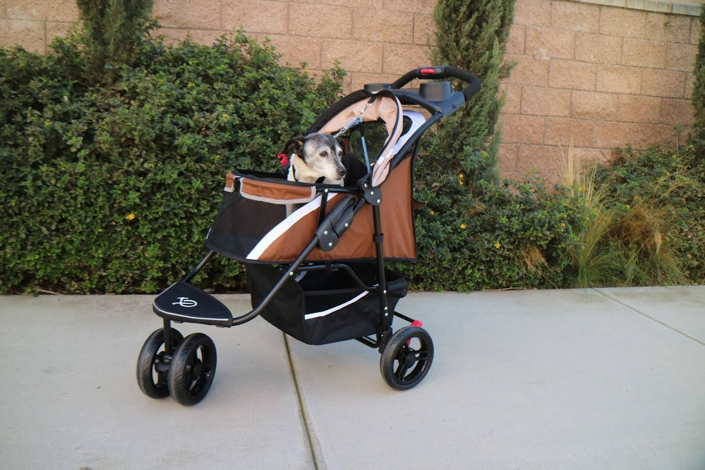 Petique, Inc - Revolutionary Pet Stroller for Dogs and Cats