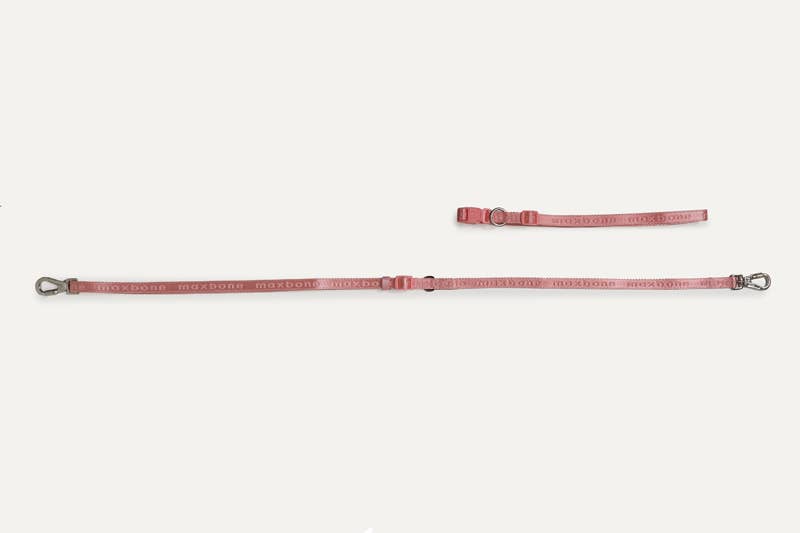 maxbone - GO! With Ease Hands-Free Leash for Dogs
