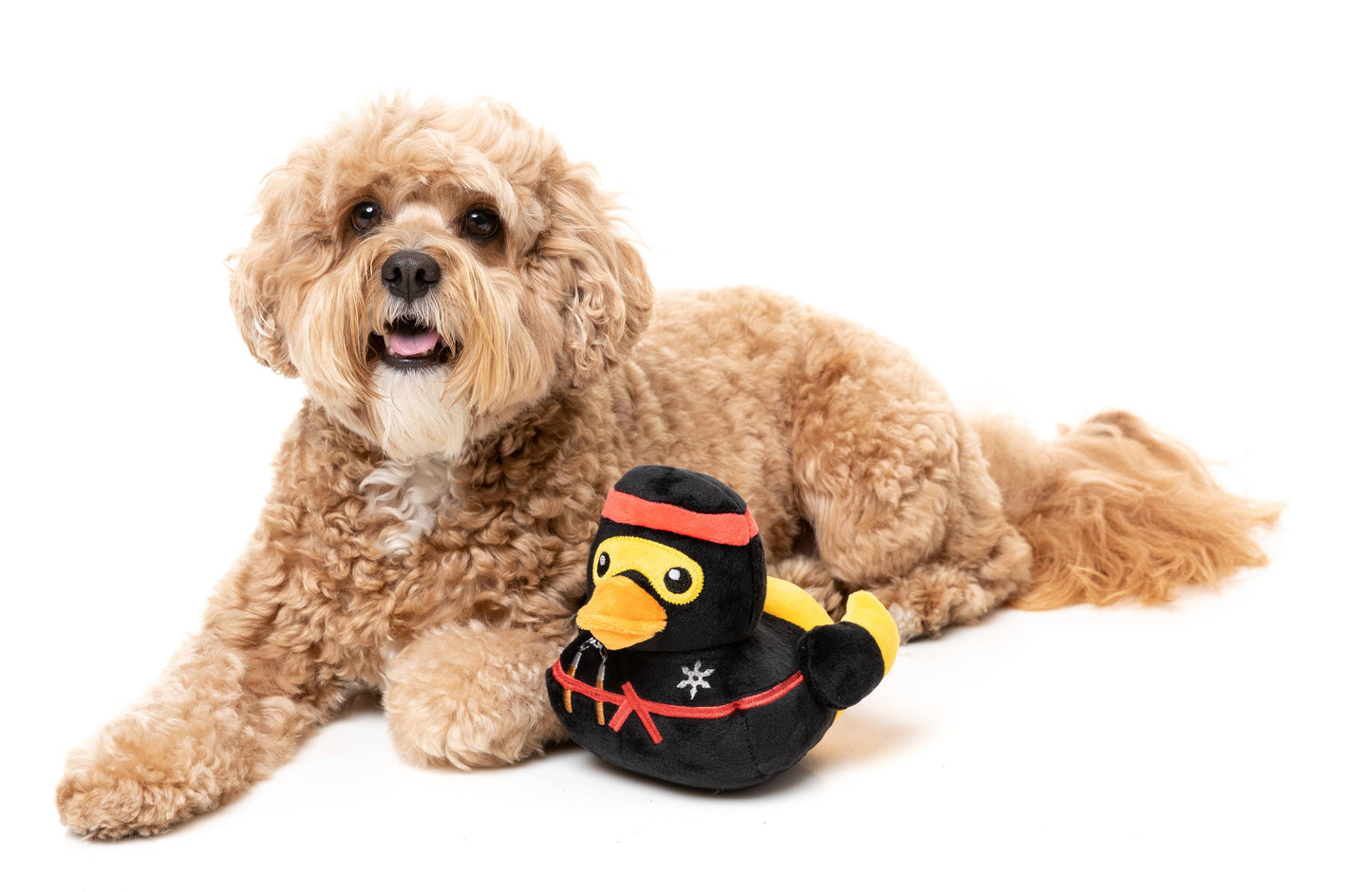 Pet Palette Distribution - FuzzYard Quackie Chan Plush Dog Toy