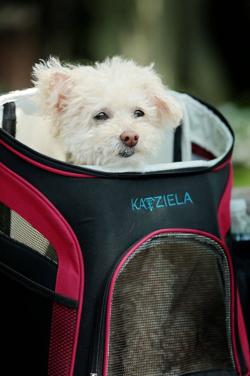 Katziela - Pet Carrier Voyager Backpack For Dogs and Cats Red