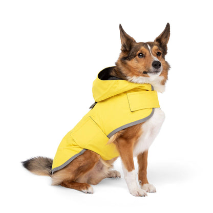 Nandog Pet Gear - Rain Coat Nandog Sport Collection: XS