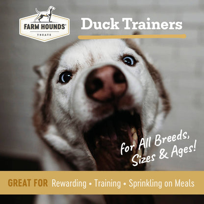 Farm Hounds - Duck Trainer - All-Natural Dog Treats - 4.5oz