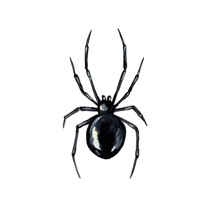 Black Widow Tattoo Pair
