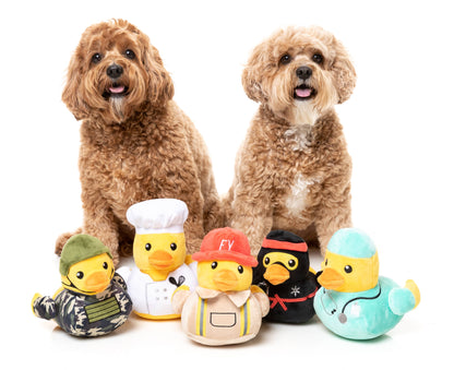 Pet Palette Distribution - FuzzYard Quackie Chan Plush Dog Toy