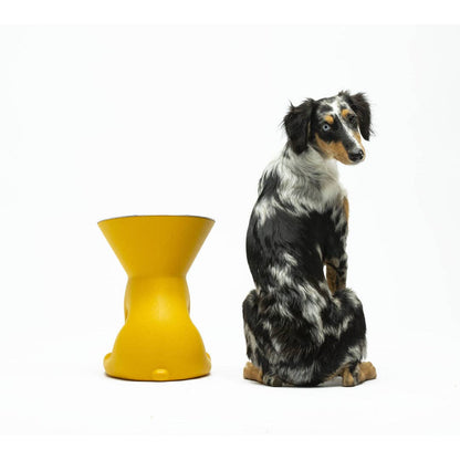 Puppy Gallery - ELIZABETH - The Queen of Dog Bowl