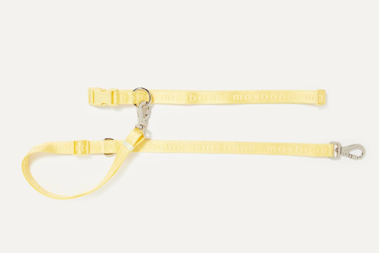 maxbone - GO! With Ease Hands-Free Leash for Dogs