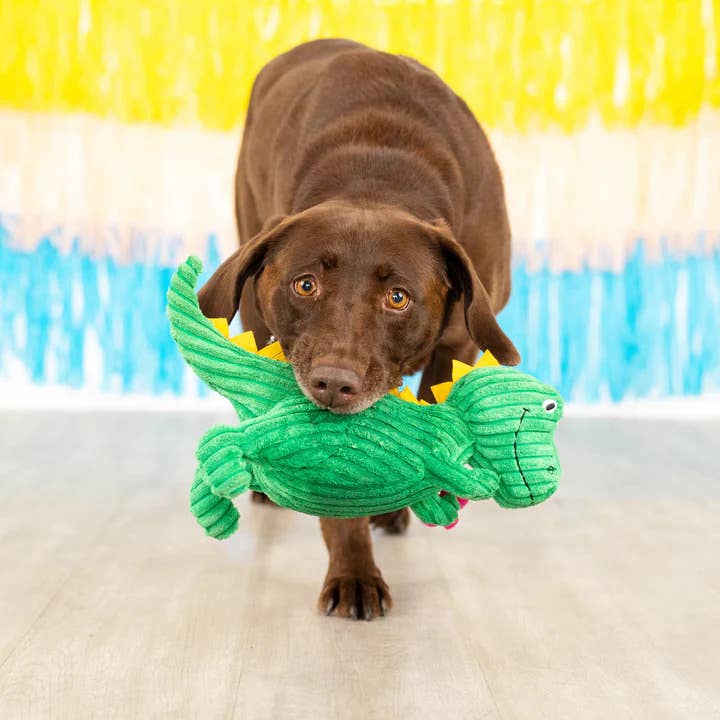 PetShop by Fringe Studio Thorny But Cute Plush Dog Toy