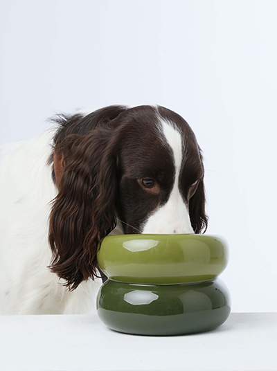 PEHOM - Soufflé Pet Bowl - Avocado Green