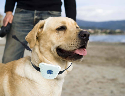 Pet Life - Non-Shock Safe Anti-Bark Collar