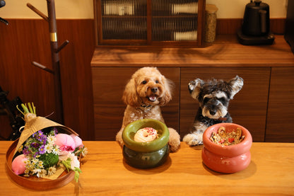 PEHOM - Soufflé Pet Bowl - Avocado Green