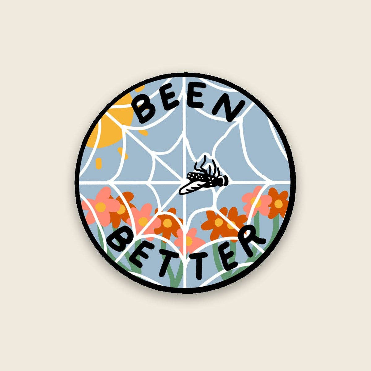 Been Better (Spiderweb) | Waterproof Vinyl Sticker