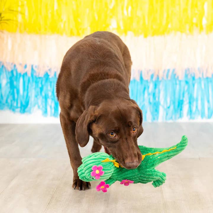 PetShop by Fringe Studio Thorny But Cute Plush Dog Toy