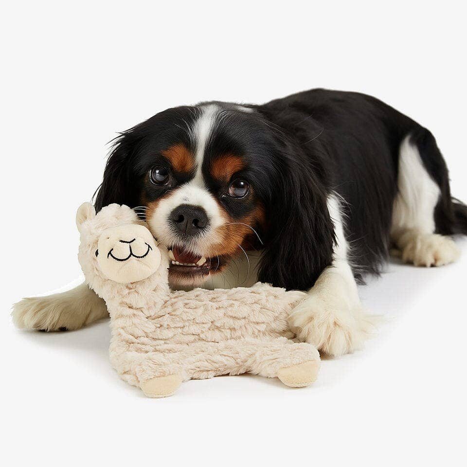 Nandog Pet Gear - My BFF Grumpy The Alpaca Plush Dog Toy