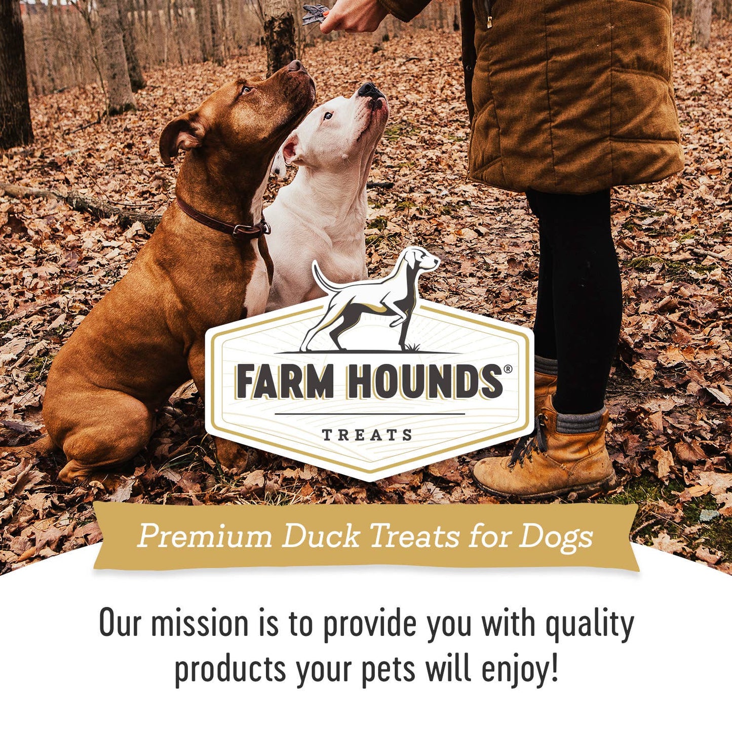 Farm Hounds - Duck Trainer - All-Natural Dog Treats - 4.5oz