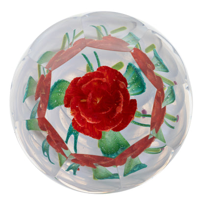 Caithness Christmas Winter Rose