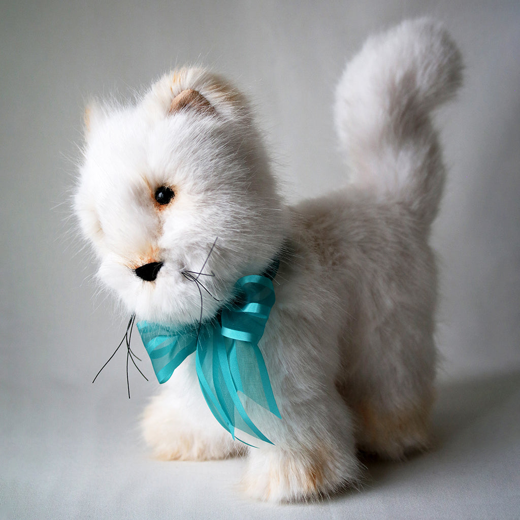 Canterbury Bears Mr Pringle Cat