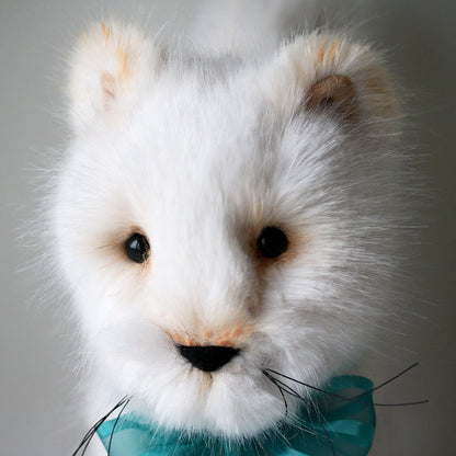 Canterbury Bears Mr Pringle Cat