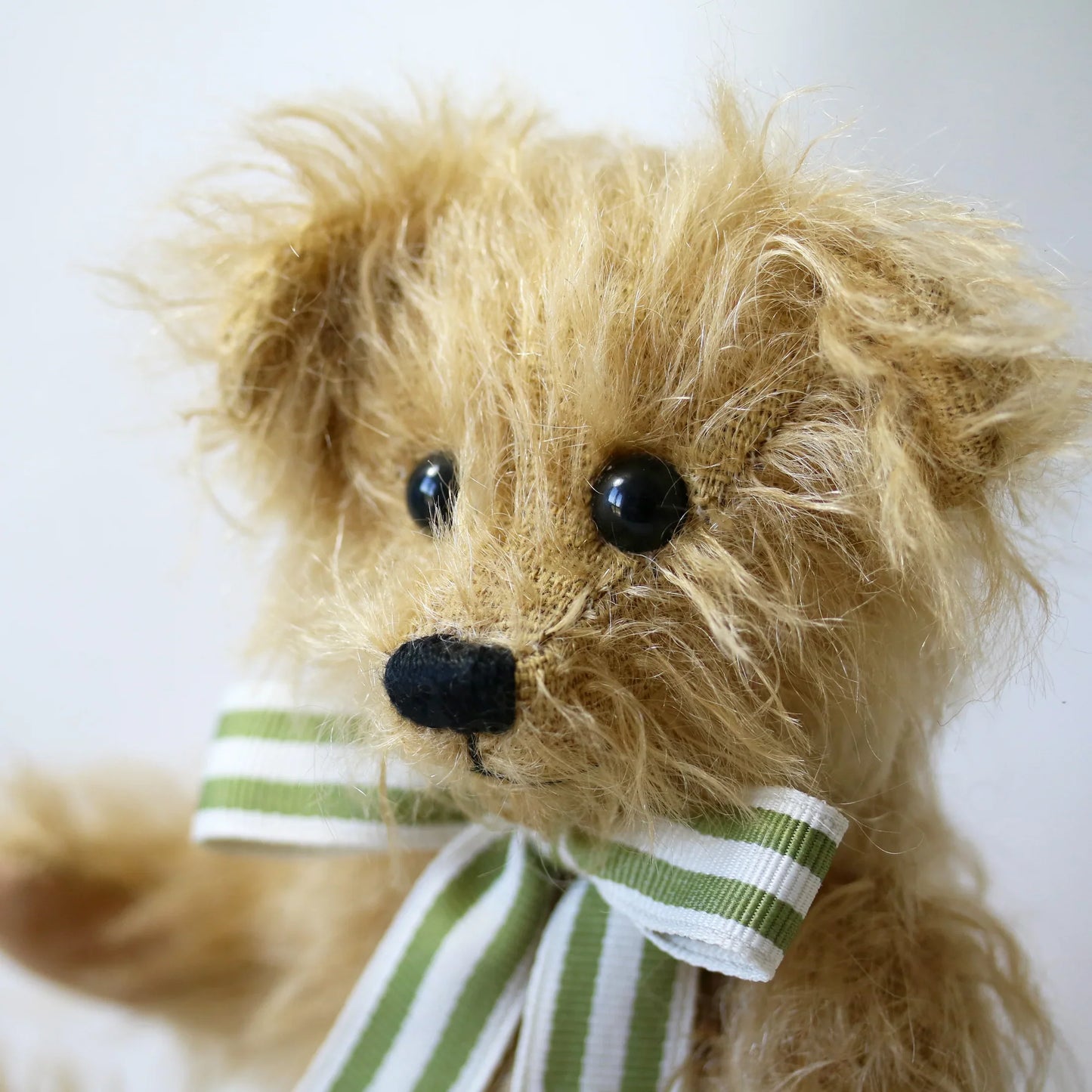 Canterbury Bears Wilfred