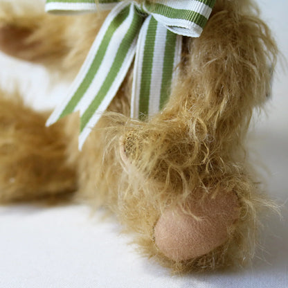 Canterbury Bears Wilfred