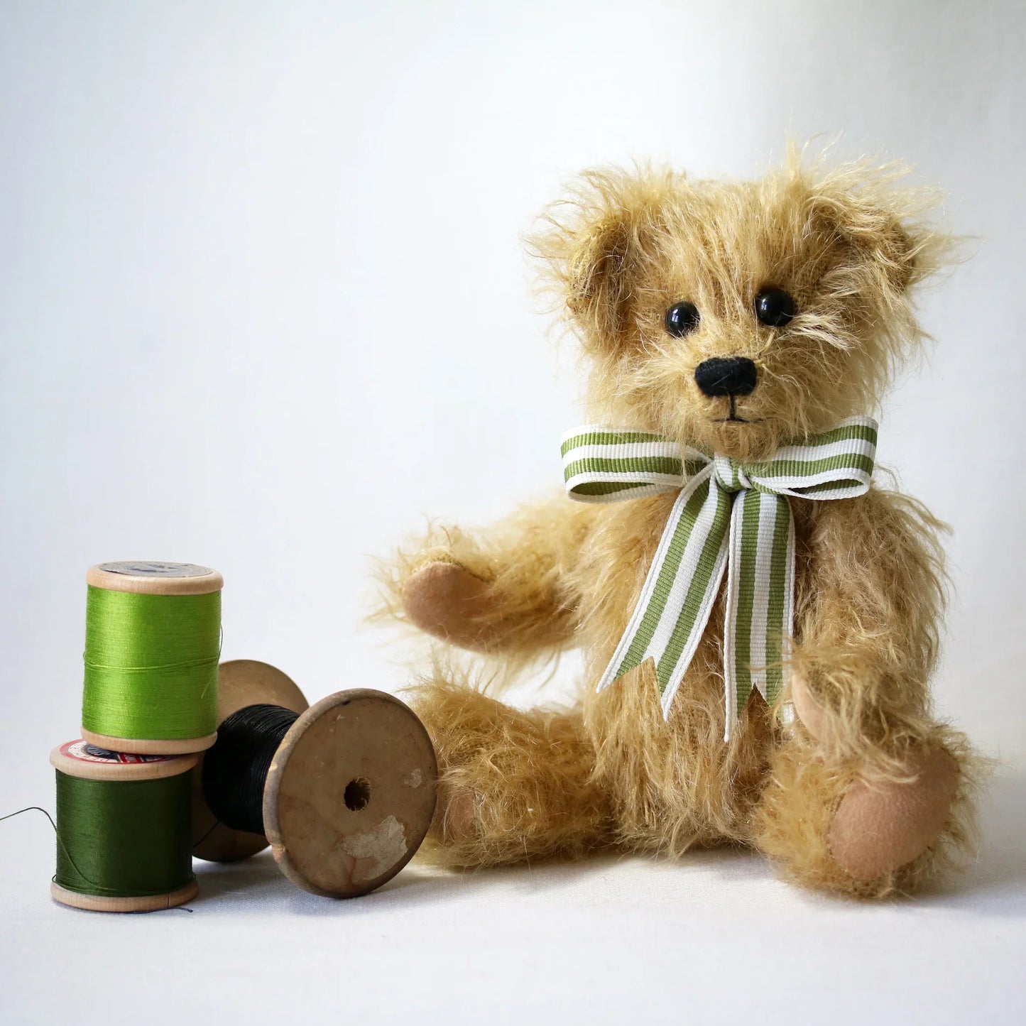 Canterbury Bears Wilfred