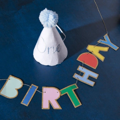 His First Birthday Party