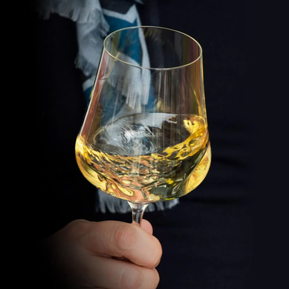Gabriel Glas StandArt Universal Wine Glass Set of 2