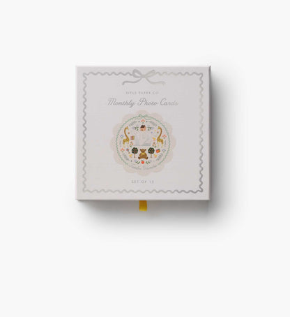 Milestone Cards - Storybook