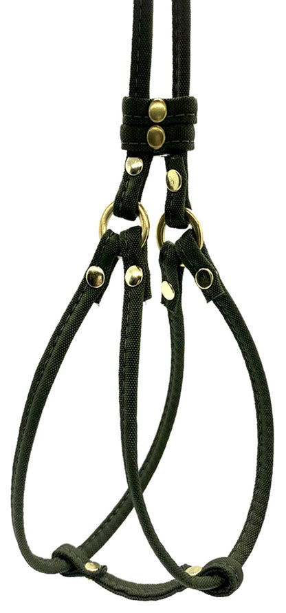 Dog Bar Brass Step-In Nylon Dog Harness w/ Leash