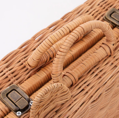 Bear Suitcase