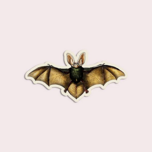 Blasé Bat - Gap Filler Sticker