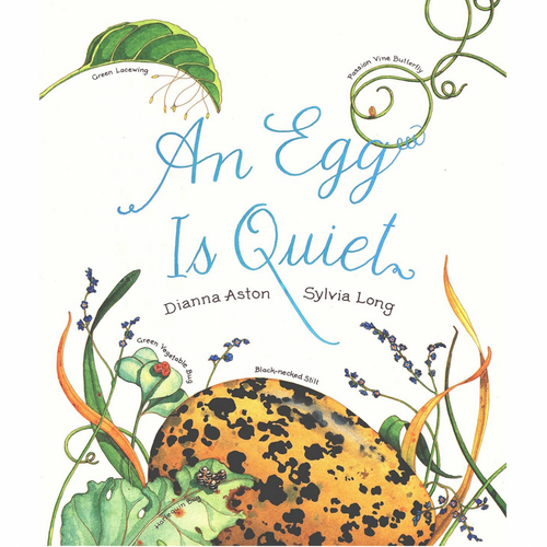 An Egg Is Quiet