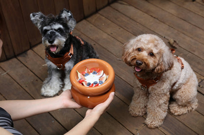 PEHOM - Soufflé Pet Bowl - Amber Orange