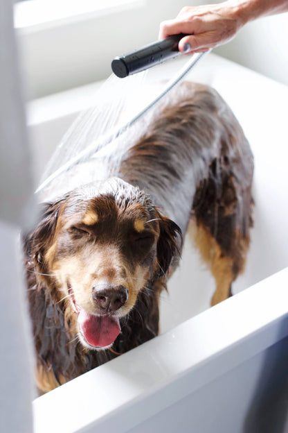 Pure + Good - Dog & Cat Shampoo: Flea and Tick