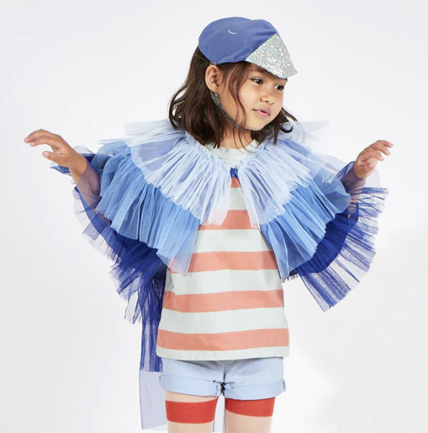 Blue Bird Costume