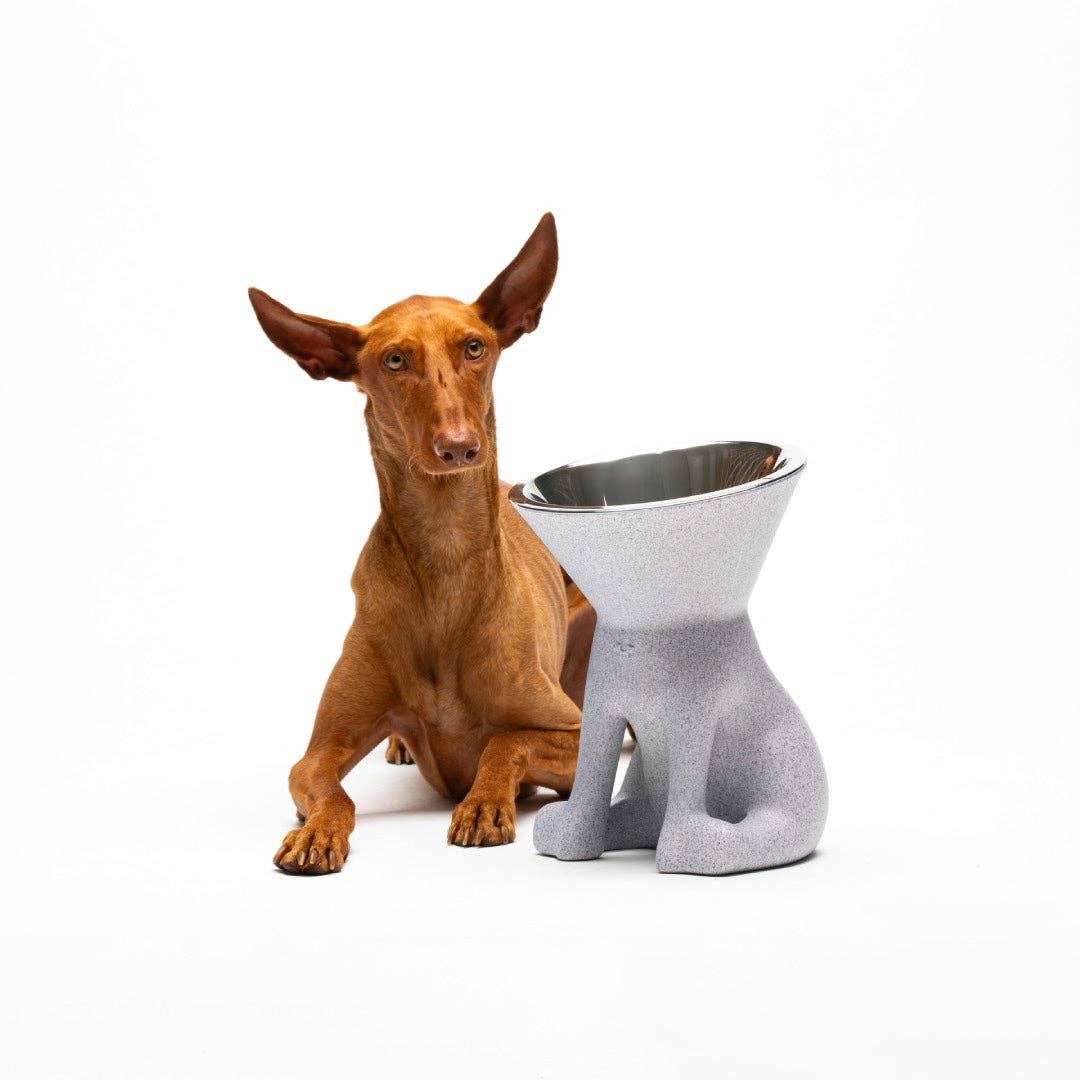 Puppy Gallery - ELIZABETH - The Queen of Dog Bowl