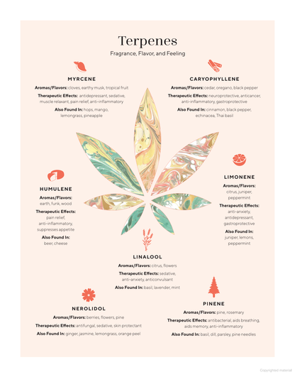 Edibles Small Bites for the Modern Cannabis Kitchen