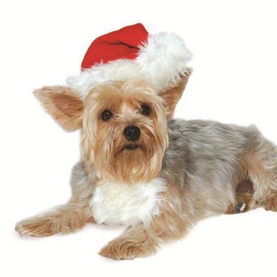 Dogo Pet - Santa Hat: L