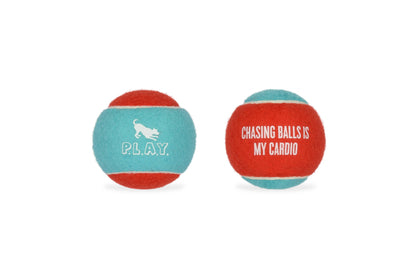 P.L.A.Y. Pet Lifestyle and You - Dog Tennis Ball - 4 Pack