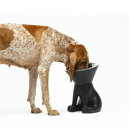 Puppy Gallery - ELIZABETH - The Queen of Dog Bowl