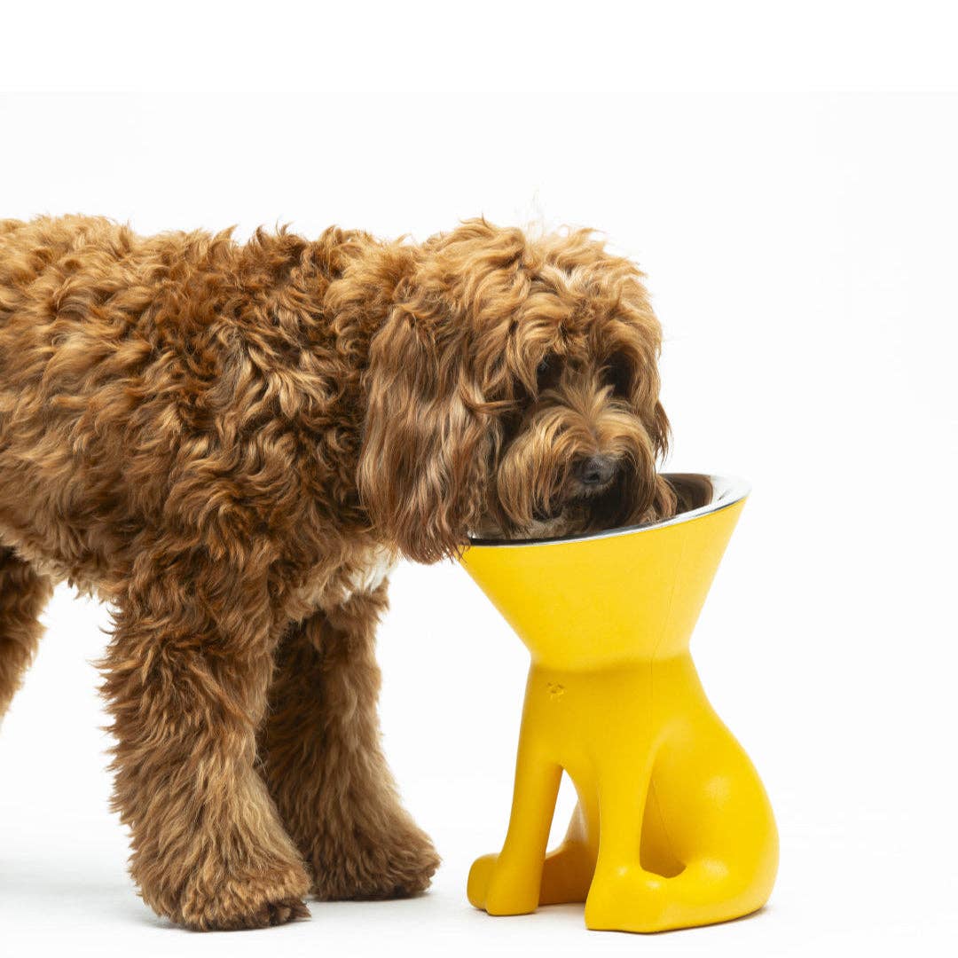 Puppy Gallery - ELIZABETH - The Queen of Dog Bowl