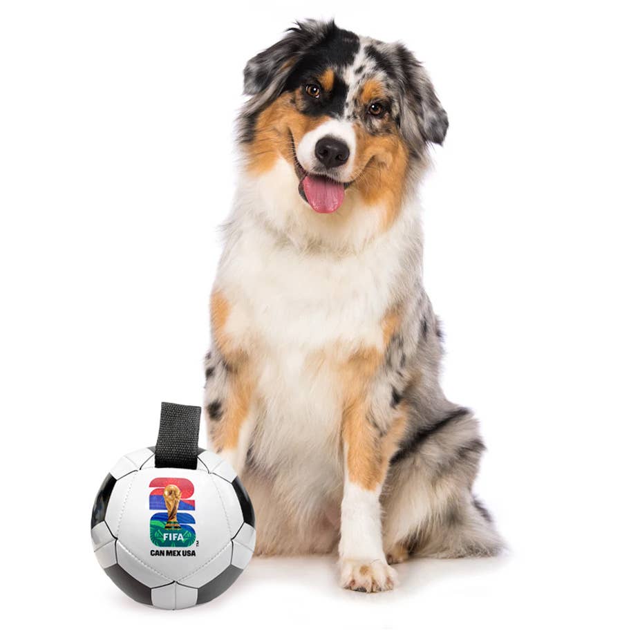 Little Earth Productions - 2026 FIFA World Cup Soccer Ball Pet Toy