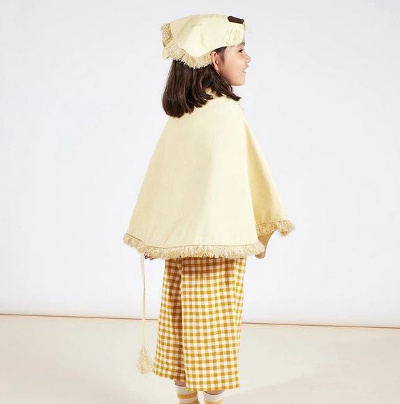 Lion Costume