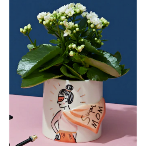 SUPER MOM POT