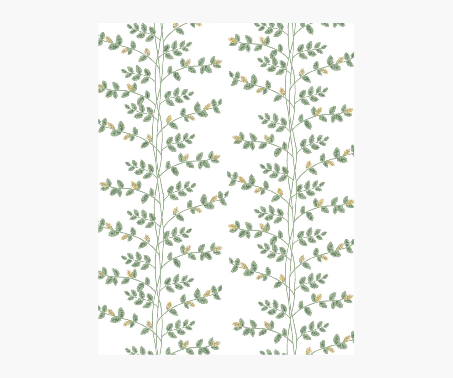 Climbing Vines Wallpaper Sample - White & Metallic Gold